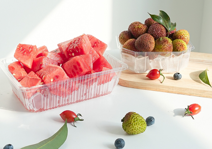 How does the Nine Grid PET Blister Packaging Box protect delicate or fragile items from vibration, shock, or abrasion during shipping?