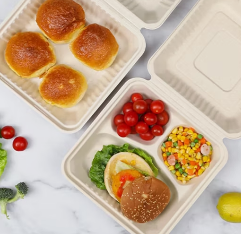 Do plastic food containers with airtight silicone seals offer better food preservation than all-plastic sealed containers?